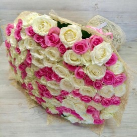 Букет из 151 бело-розовой розы (70 см)
