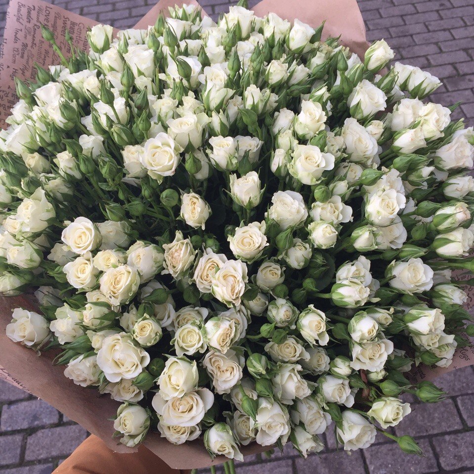 Букет из 49 белой кустовой розы