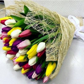Букет из 49 разноцветных тюльпанов