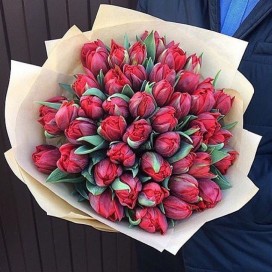Букет из 49 красных тюльпанов