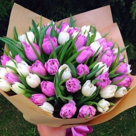 Букет из 49 бело-розовых тюльпана